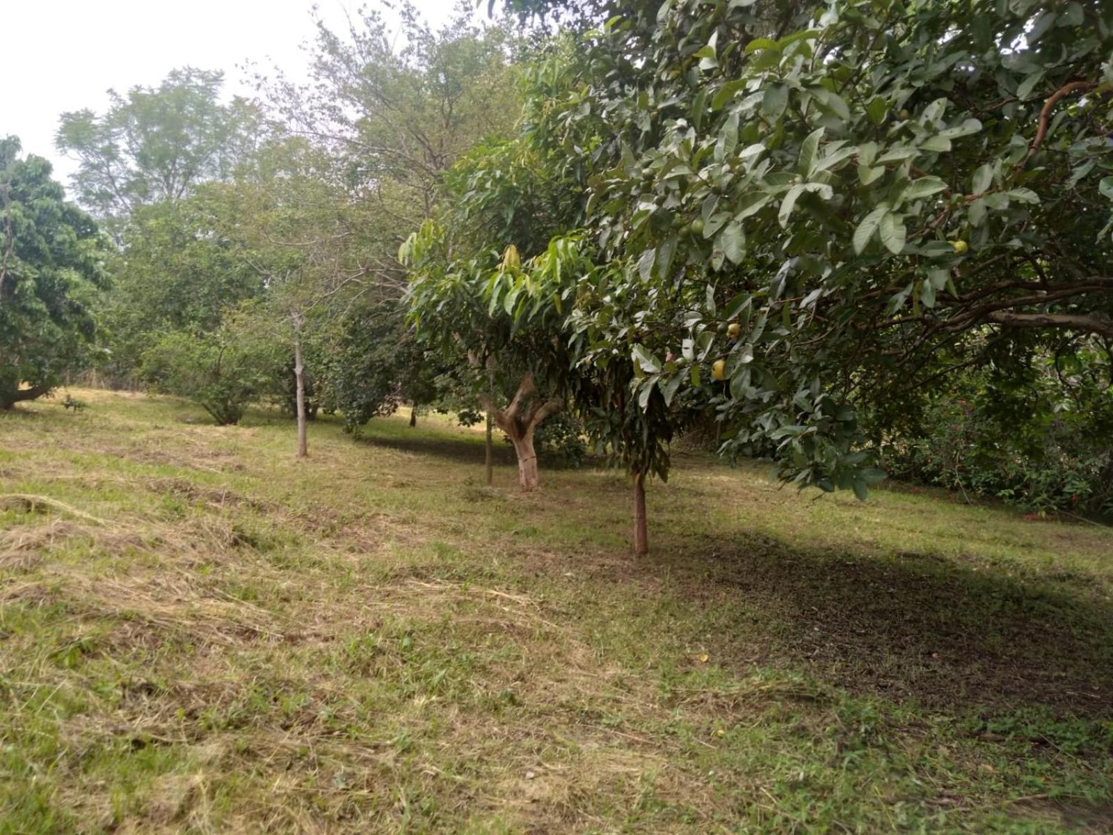 Casa Delicia Em Passa Quatro Ate 6 Pessoas Villa Екстериор снимка